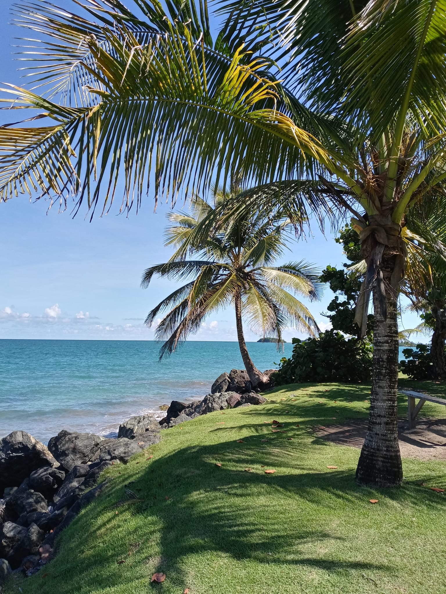 Puerto Rico: A Vibrant Island Adventure