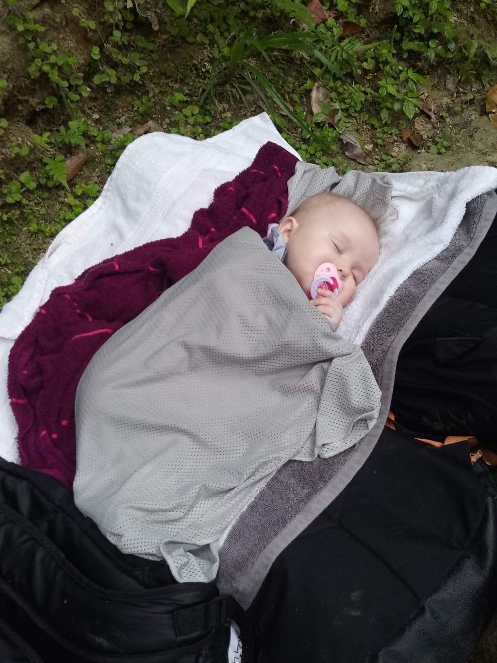 baby sleeping in mossy rocks on El Yunque rainforest trail Puerto Rico